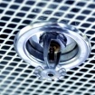 image Sprinklerinstallatie