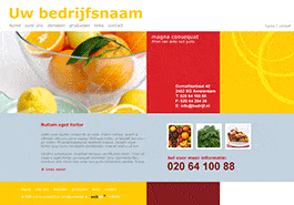 Website ontwikkeling voor het MKB